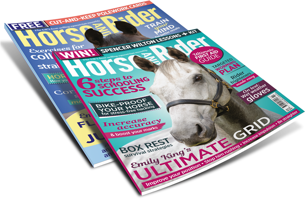 Subscribe Today From Anywhere In The World - Equestrianism (1012x670), Png Download