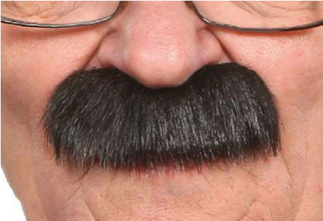1 Moustache Épaisse Noire - Grandpa's Black Lustrous Mustache (007-se) (540x729), Png Download