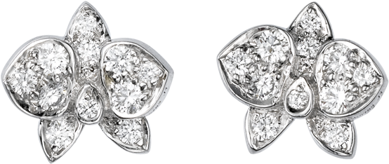 Caresse D'orchidées Par Cartier Earrings - Earring (1000x1000), Png Download