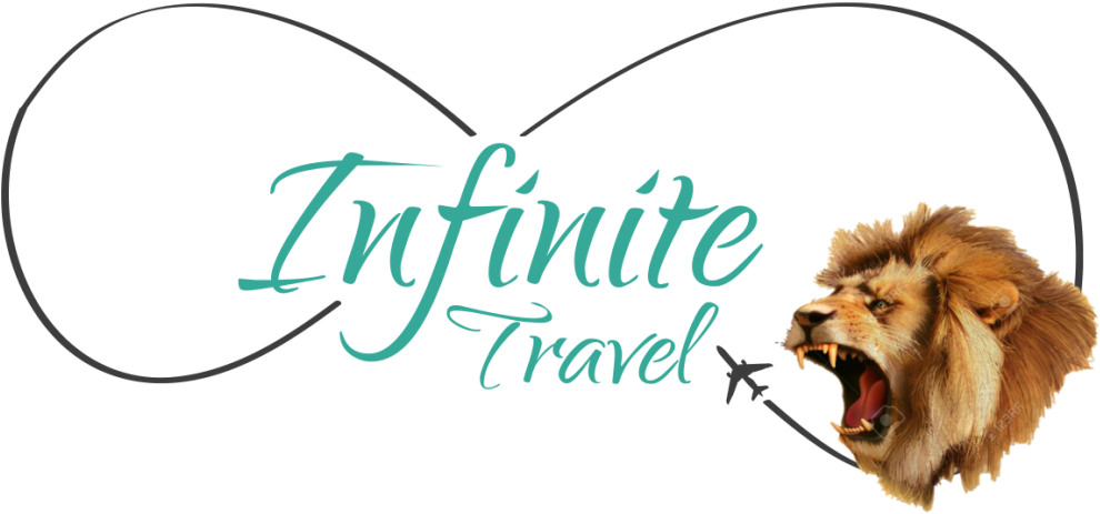 Have You Ever Wondered What A Three-week Tour Around - Lion (1024x541), Png Download