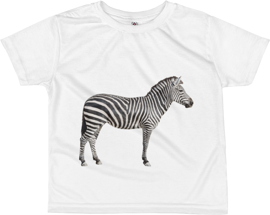 Zebra Print All Over Kids Sublimation T Shirt - Pattern Scavenger Hunt By Kerry Dinmont (1000x1000), Png Download
