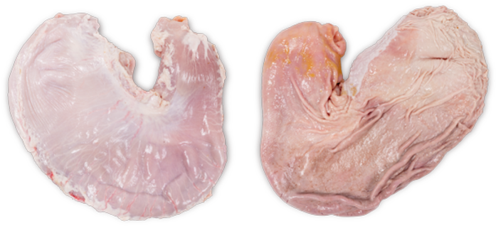 Pork Stomach Pouch Cut - Heart (800x478), Png Download