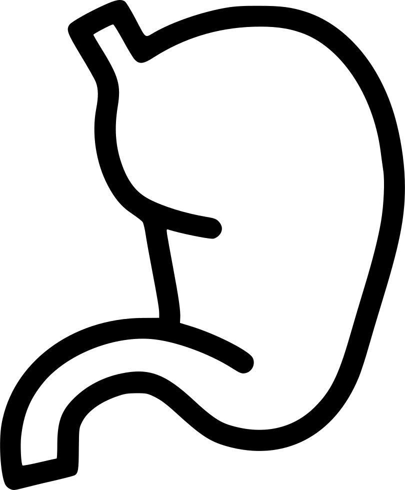 Png File - Hospital (810x980), Png Download