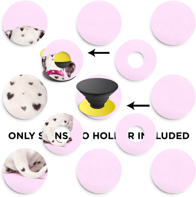 Dalmatian Love - Pineapple Birthday Clip Art (800x800), Png Download