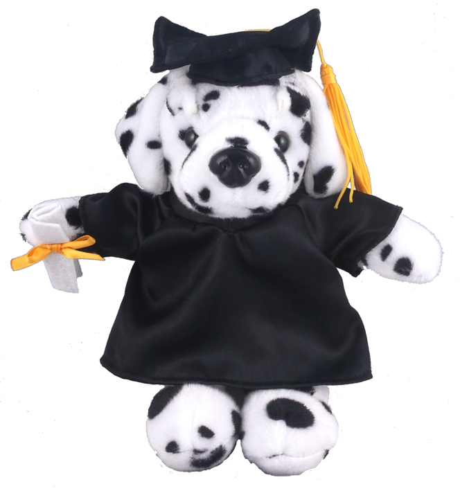 Dalmatian - Soft Plush Dalmatian In Graduation Cap & Gown Stuffed (664x709), Png Download