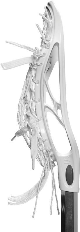 If It Wasn't Called The Evo, What Were Some Other Names - Illustration (420x858), Png Download