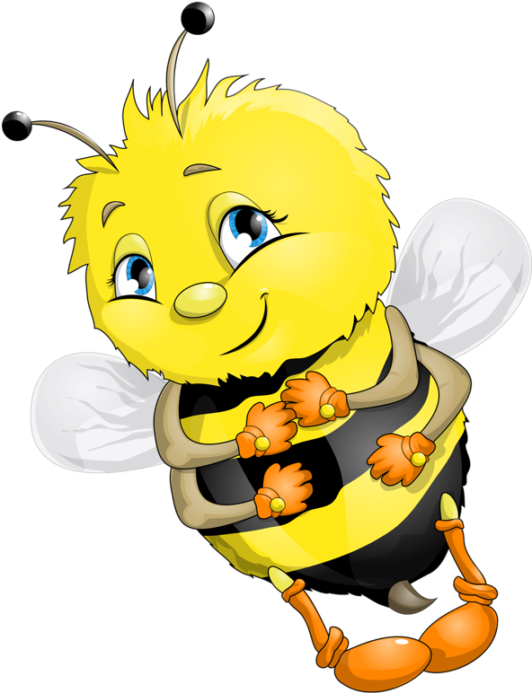 Bumble Bee - Cute - Clipart - Bee (592x800), Png Download