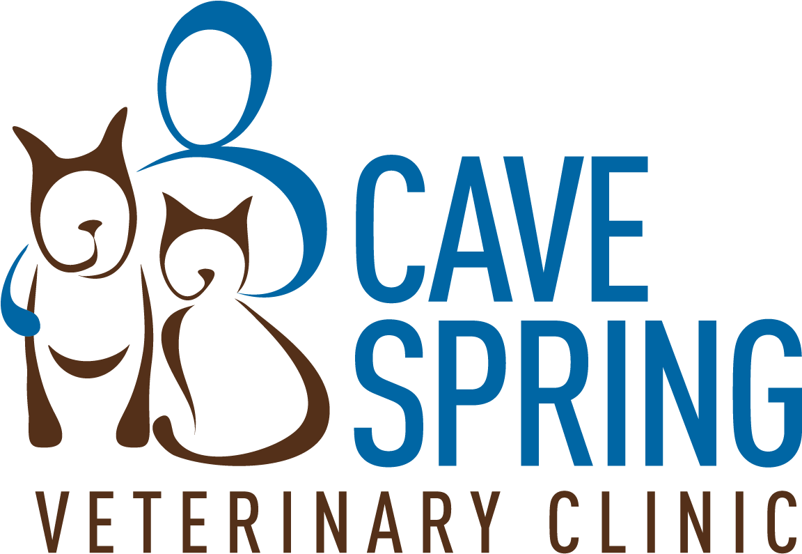 Cave Spring Veterinary Clinic (1350x1050), Png Download