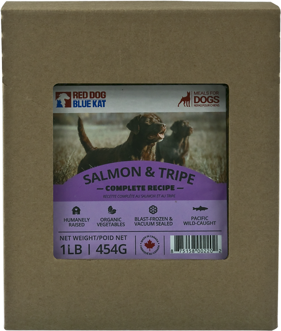 Salmon & Tripe Complete For Dogs - Dog (772x750), Png Download