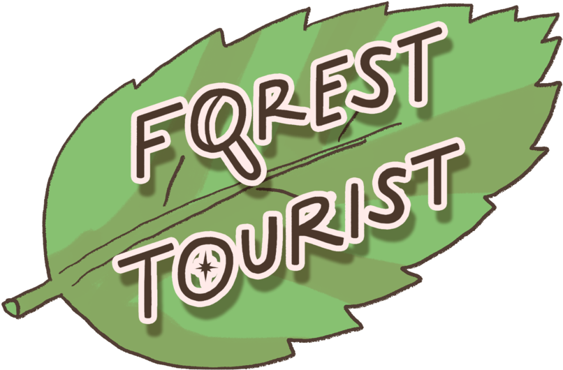 Forest-tourist Logo (1000x563), Png Download
