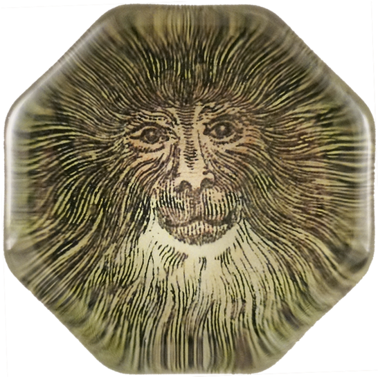Lion Head Roar Png (600x600), Png Download