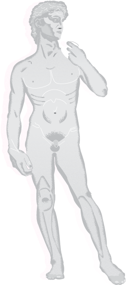 Michaelangelo-david - 3d Print Michelangelo David (800x600), Png Download