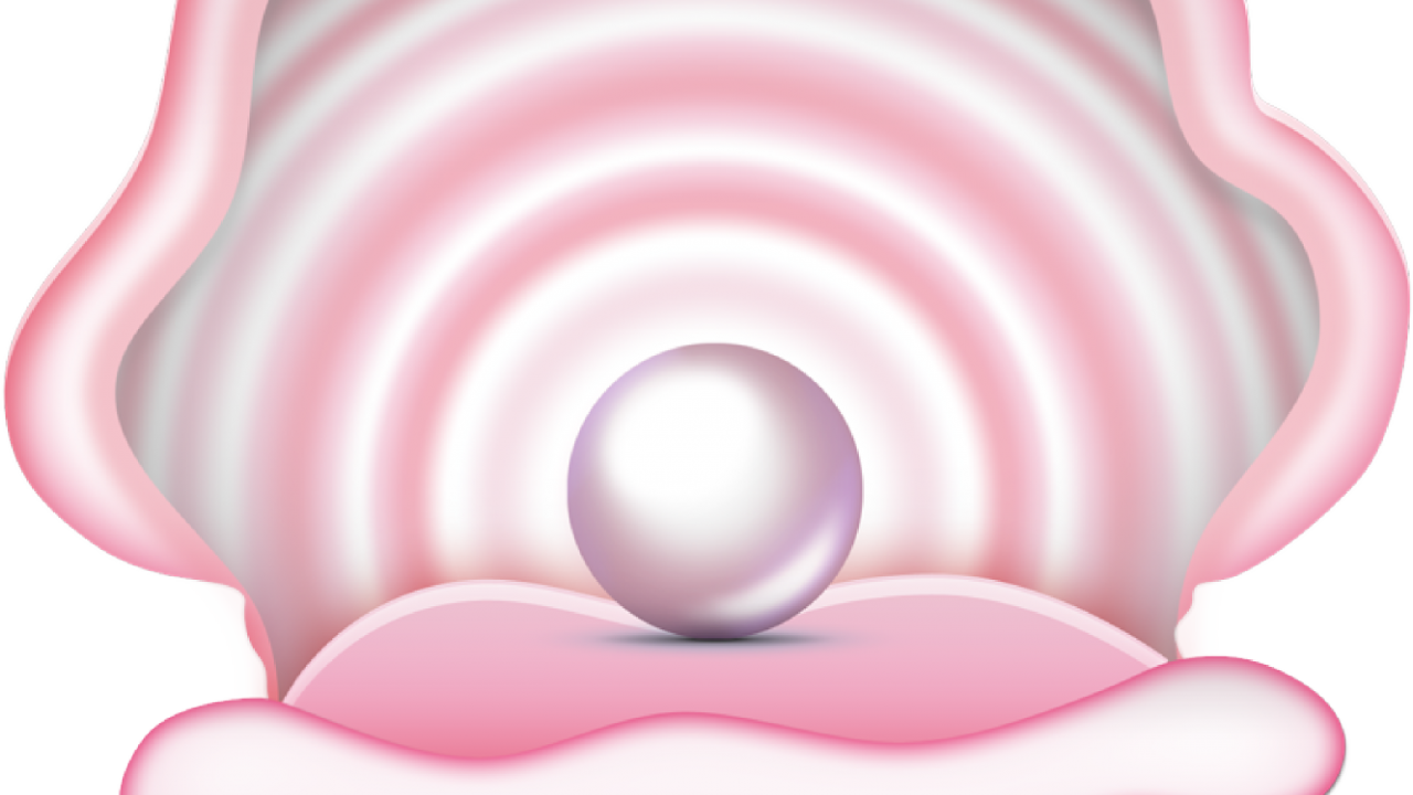 Download Clam Clipart Oyster Cartoon Clam With Pearl PNG Image with