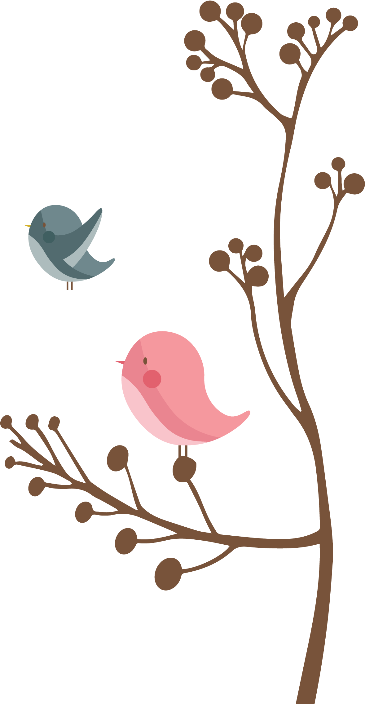 Mark 10 - 13-16 - Budding Blue Reply Cards On Shimmer Stock (1200x2288), Png Download