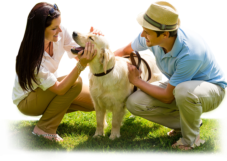 Be A Part - Dog Panting Huge Tongue (729x546), Png Download