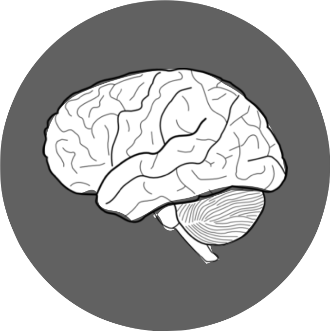 Brain & Information - Brain (678x680), Png Download