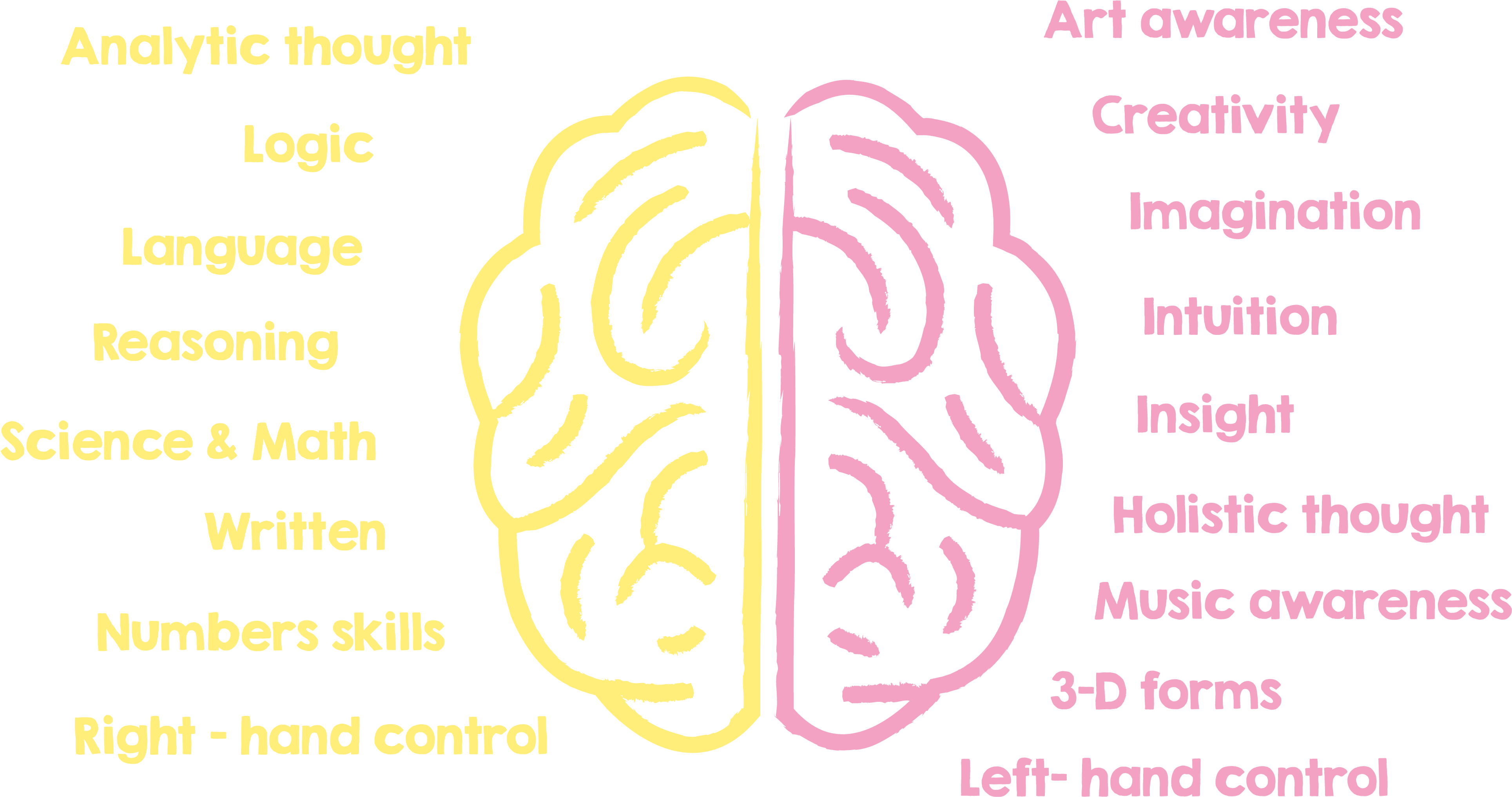 Fun, Creative Exercises And The Use Of Sound Waves, - Left And Right Brain Importance (3858x2067), Png Download