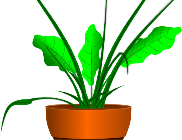 Original - نباتات كرتون (640x480), Png Download