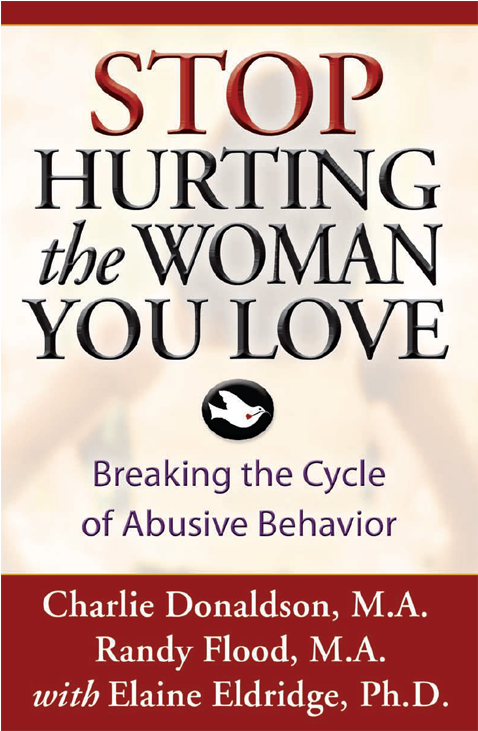 Stop Hurting The Woman You Love - Stop Hurting The Woman You Love: Breaking (730x730), Png Download