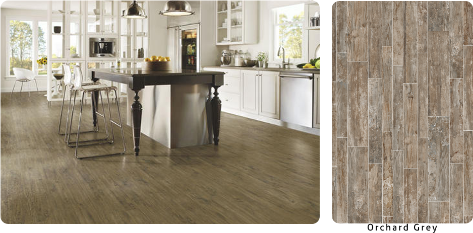 Wood Tile Flooring Orchard Grey - Daltile Colorbody Porcelain Surface Trim 6 X 12 Cove (1000x500), Png Download