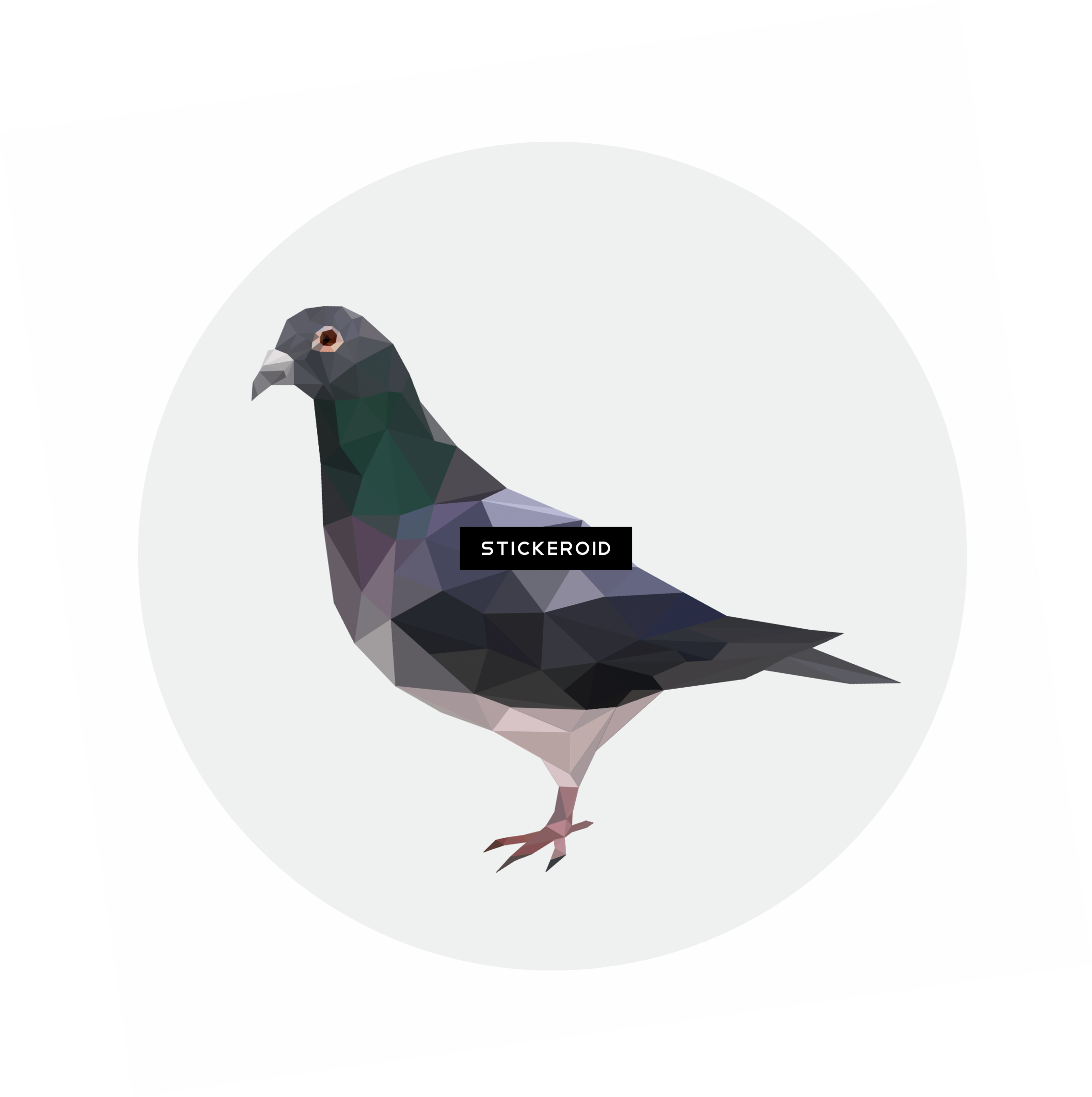 Pigeon Birds - Stock Dove (2278x2289), Png Download