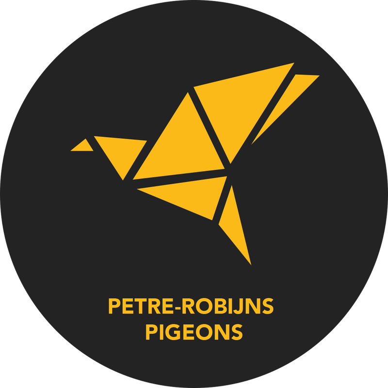 Petré Robijns Pigeons Https - Photograph (800x800), Png Download