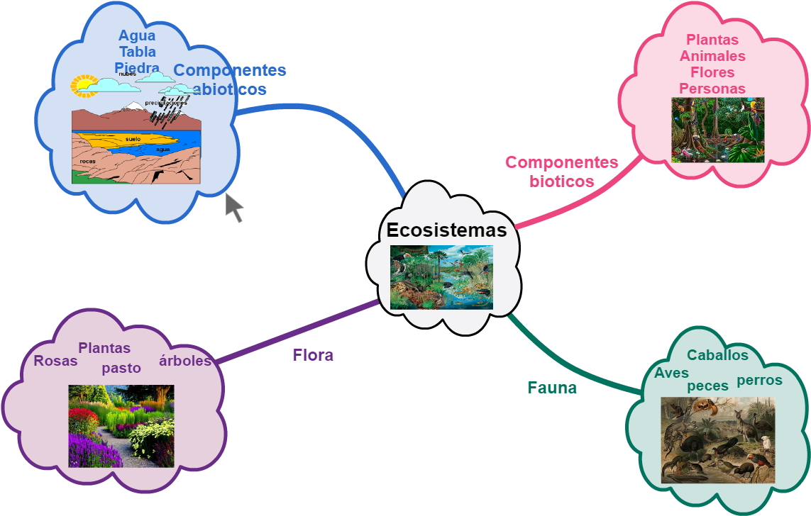 Australian Animals (1167x727), Png Download