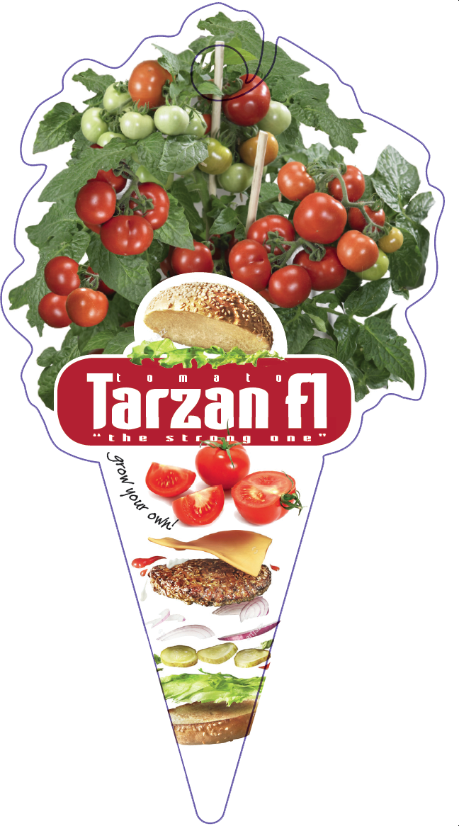 Click To Open Image Click To Open Image - Die Freitag-sudoku Bücher Für Erwachsene | Sudoku-rätsel (648x1166), Png Download