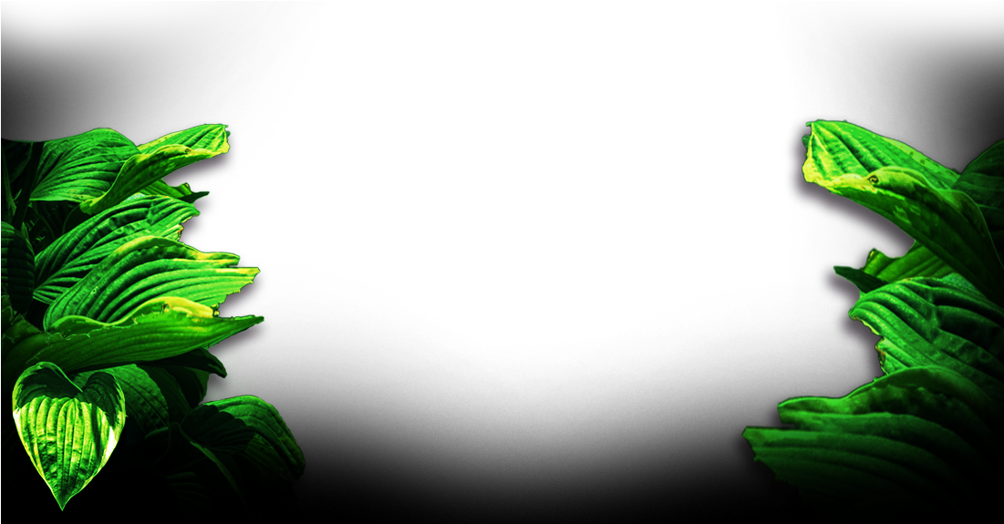 Tarzan-background3 - Illustration (1100x591), Png Download