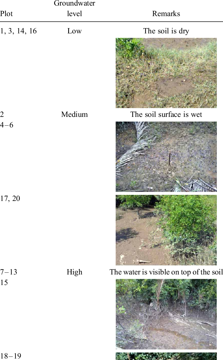 Groundwater Condition For Moist Soil - Soil (762x1229), Png Download