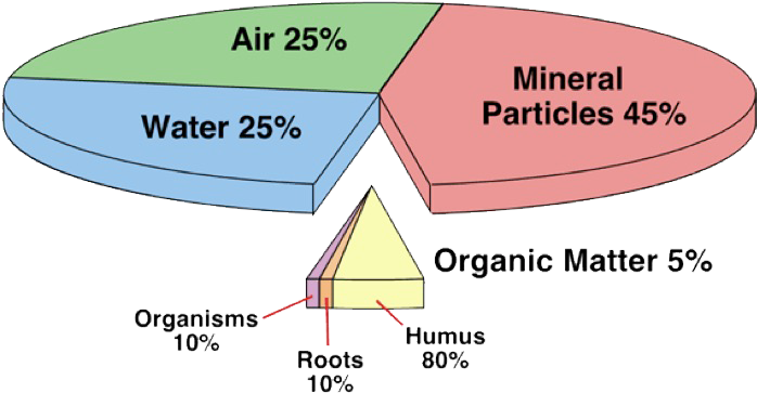 Soil & Soil Structure - Component Of Soil (840x400), Png Download