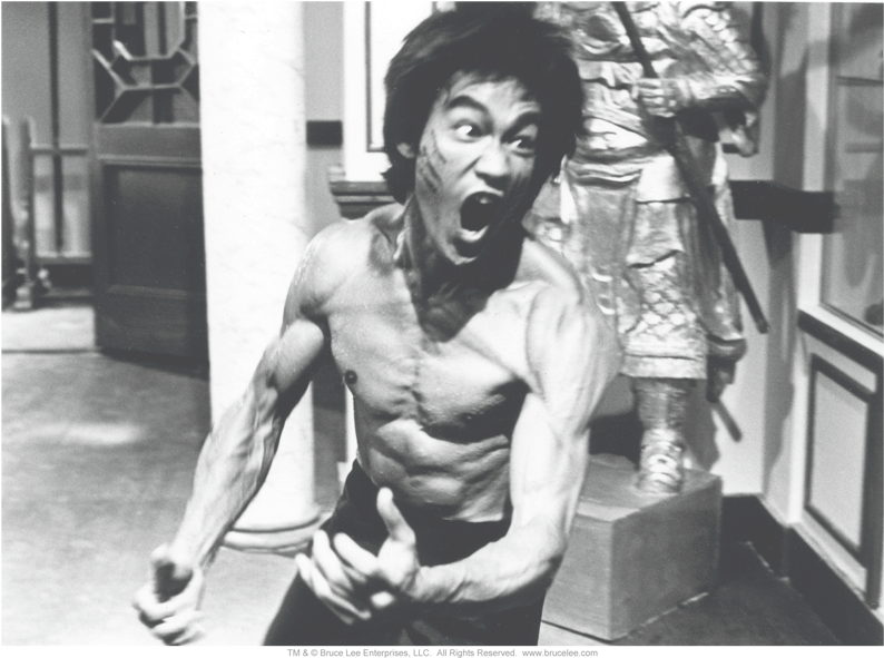Bruce Lee Full Of Fury Pullover Hoodie - Bruce Lee Full Of Fury Little Boys Juvy Shirt (864x756), Png Download