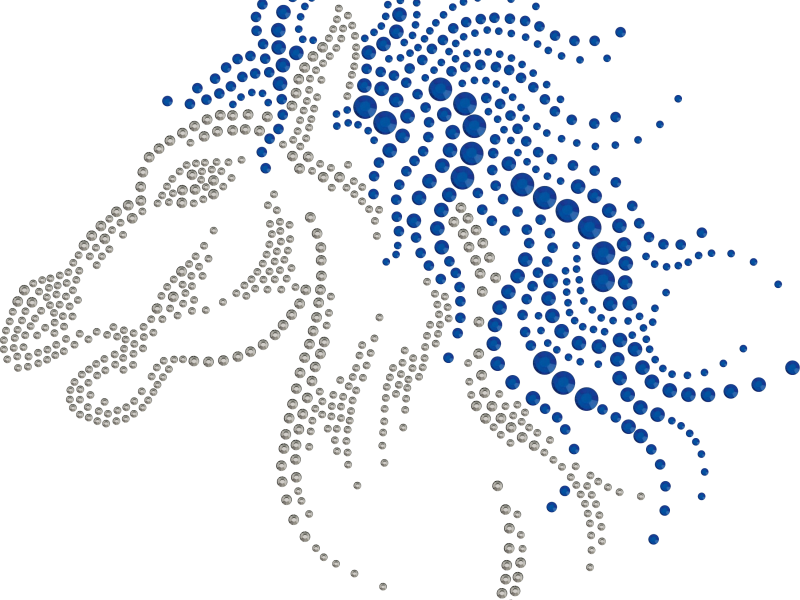 Horse Head - Illustration (800x600), Png Download