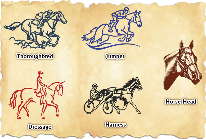 Graphics - Dressage Outline Embroidery Design (703x477), Png Download