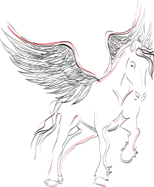 Pegasus, Horse, Wing, Winged Horse, Mystical, Black - Desenho De Cavalo Alado (591x720), Png Download