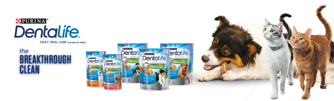 Daily Oral Care - Dentalife Snacks Large Loyaltypack 426 Gr (1159x353), Png Download