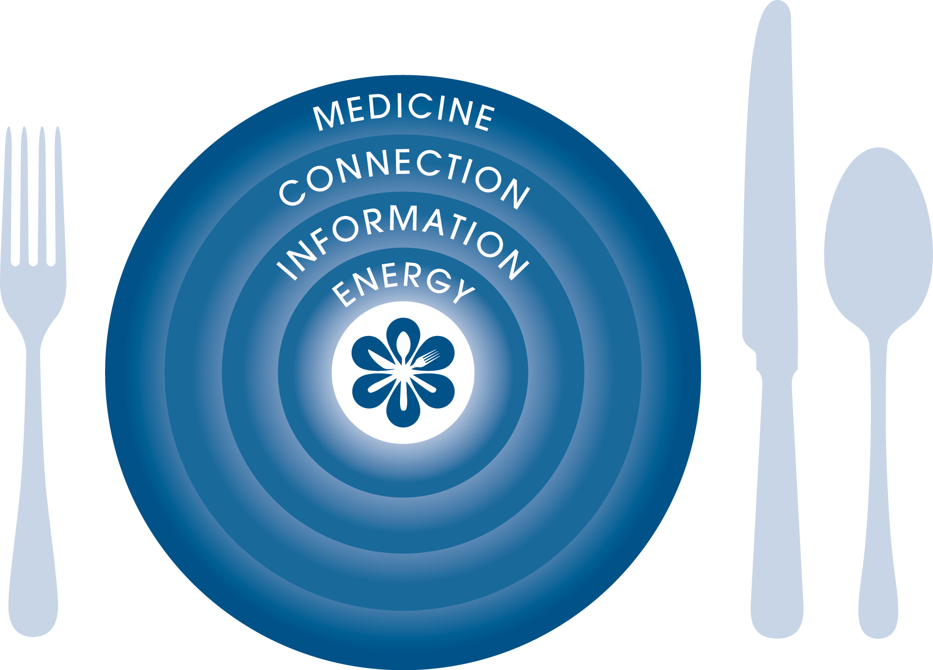 Food Plate - Medicine (1847x1328), Png Download