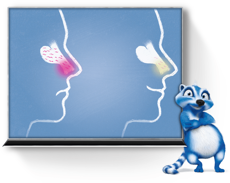 Maintaining The Health Of The Nose Should Therefore - Ursapharm Arzneimittel Gmbh (747x595), Png Download