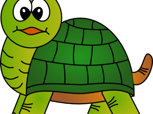 Baby Turtle Cliparts - Clip Art (640x480), Png Download