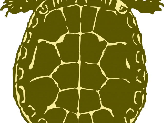 Sea Turtle Clipart Kura Kura - Green Turtle Shower Curtain (640x480), Png Download