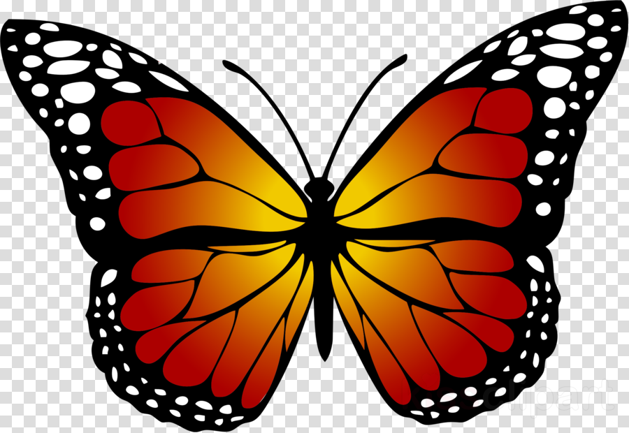 Yellow Butterfly Clipart Butterfly Insect Clip Art - Kupu Kupu Hitam Putih (900x620), Png Download