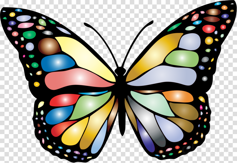 Clip Art Monarch Butterfly Clipart Monarch Butterfly - Different Colors Of Butterfly (900x620), Png Download