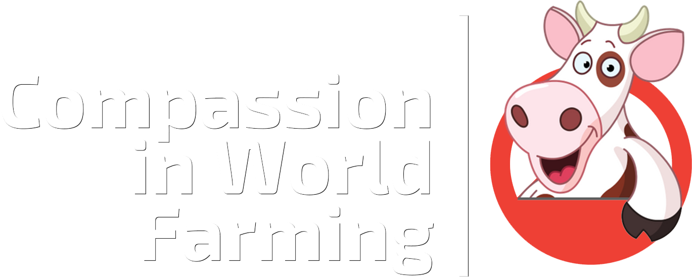 Sight Words Nouns 1 (1508x573), Png Download