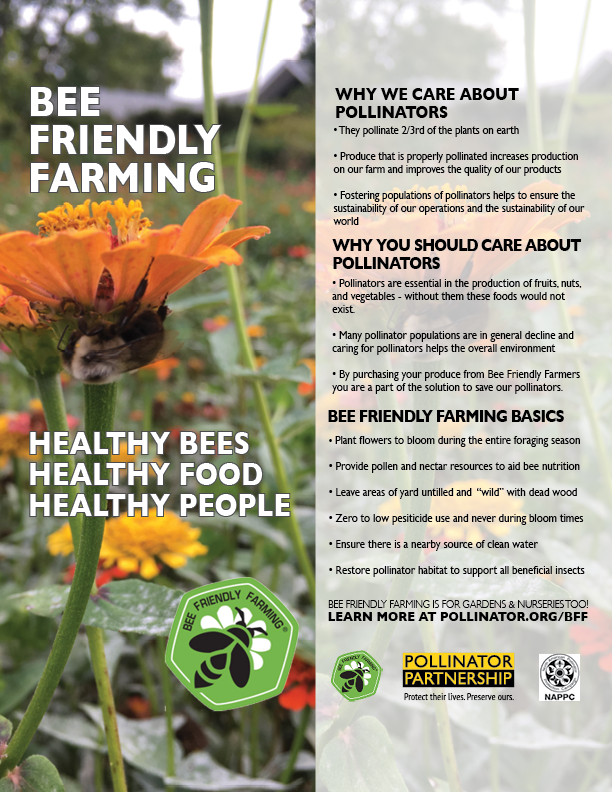 Bee Friendly Farming Poster Version Final - Honey Bee (612x792), Png Download