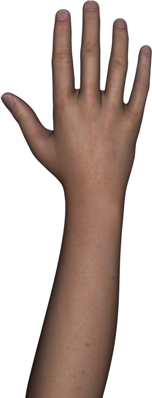 Transparent Arms Background Png Library - Sign Language (800x773), Png Download