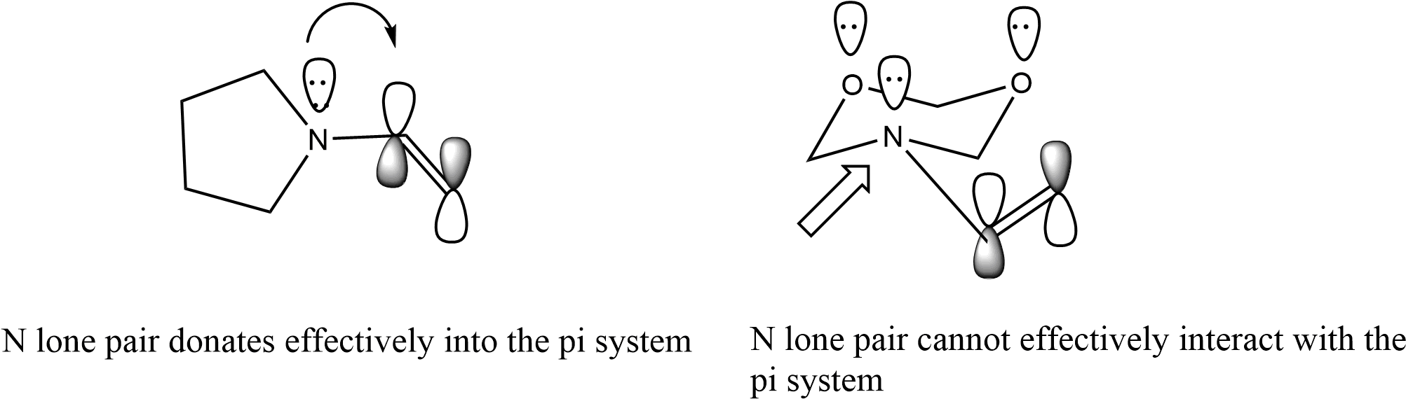Modulating Enamine Nucleophilicity Via Stereoelectronicand - Diagram (2020x588), Png Download