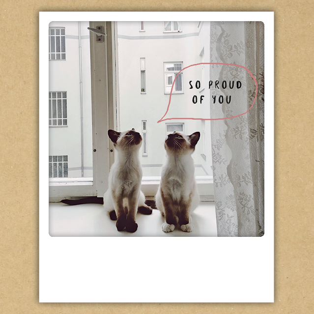 Blog Thumb - So Proud Of You Pair Of Siamese Cats Instagram Photo (639x639), Png Download