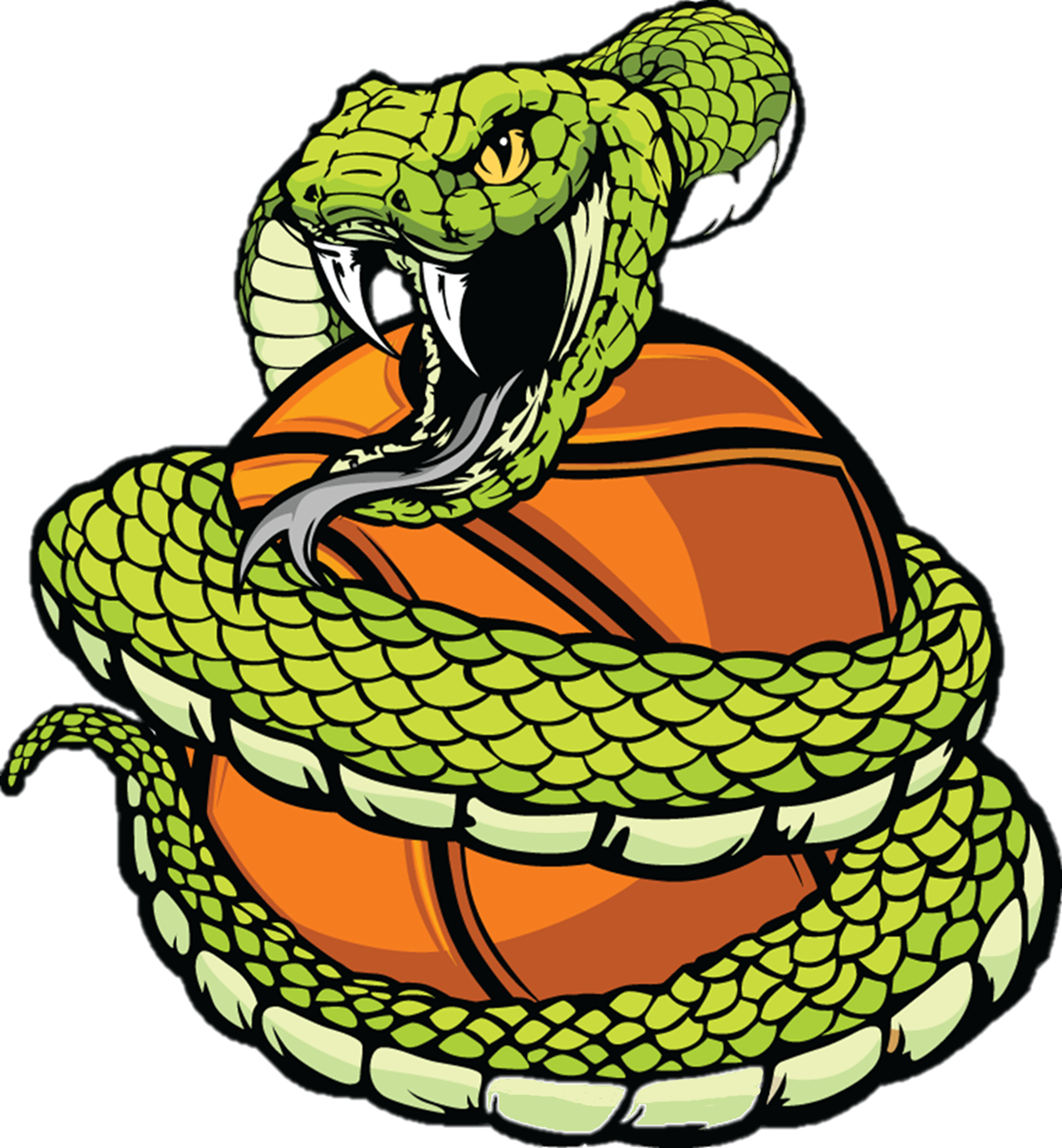 2018 Bluffs Hoops Shootout Youth Basketball Tournament - Snake Wrapped Around Ball (1278x1381), Png Download