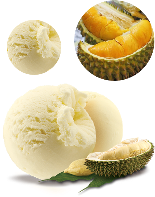 Ice Cream Durian Png (583x744), Png Download