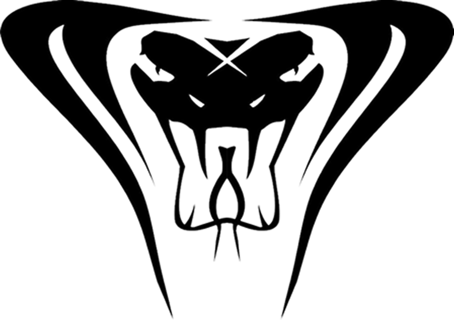 Cobra Tactical Inc - Cobra Tactical (898x632), Png Download